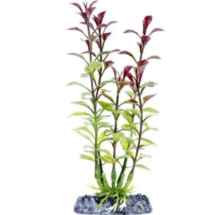 Penn Plax Sinkers Blooming Ludwigia Aquarium Plant Red - 13\