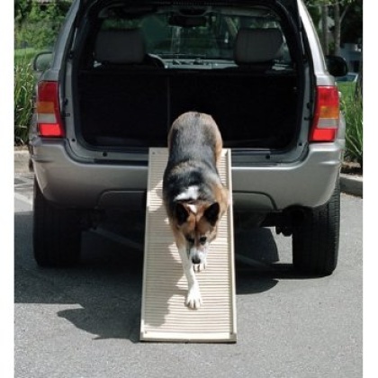 PetStep Folding Dog Ramp